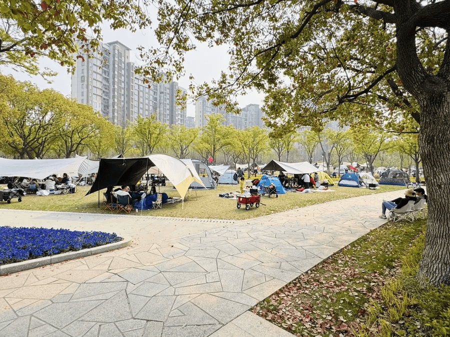 @露营党上海最新明确！pg电子模拟器免费